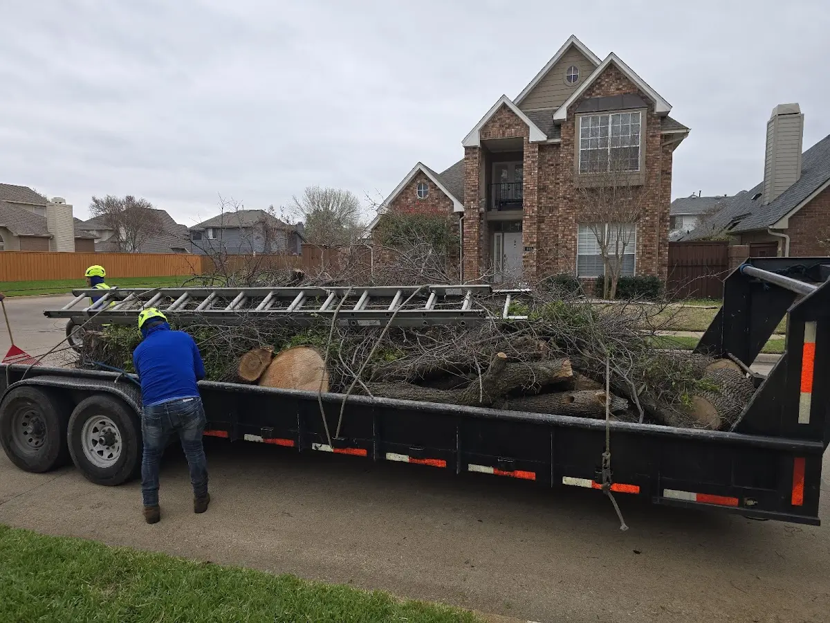 Expert Tree Fertilization with proper safety equipment in Carbonado